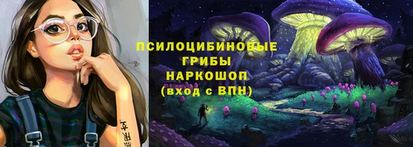 МДПВ Зеленодольск
