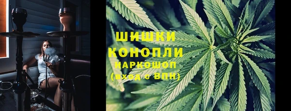 Альфа ПВП Инсар