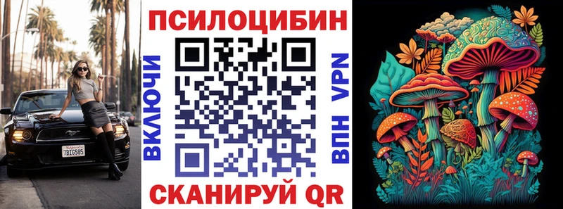 Галлюциногенные грибы Psilocybine cubensis  Купить  Осташков 